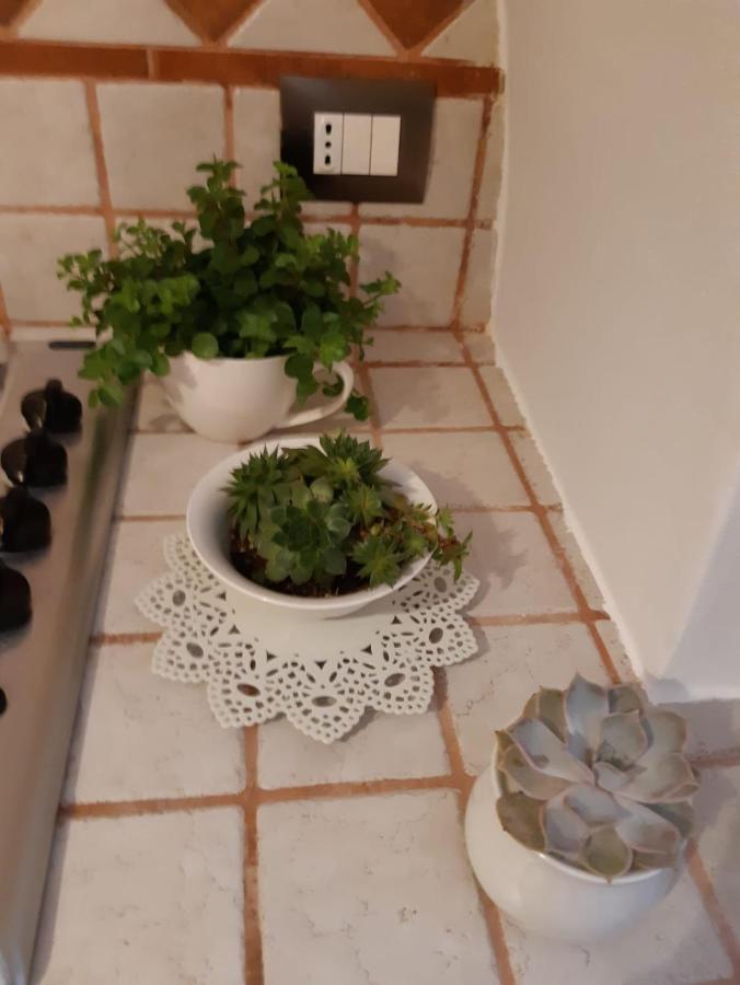 Donna Lucrezia Dimora A Corte B&B Conversano Extérieur photo